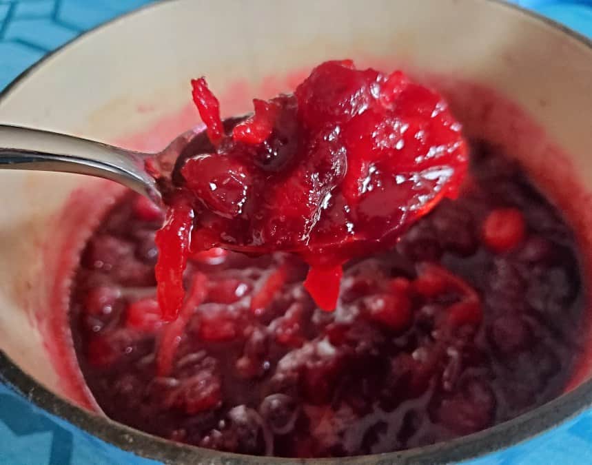 Scoop of orange cranberry sauce over the blue pot