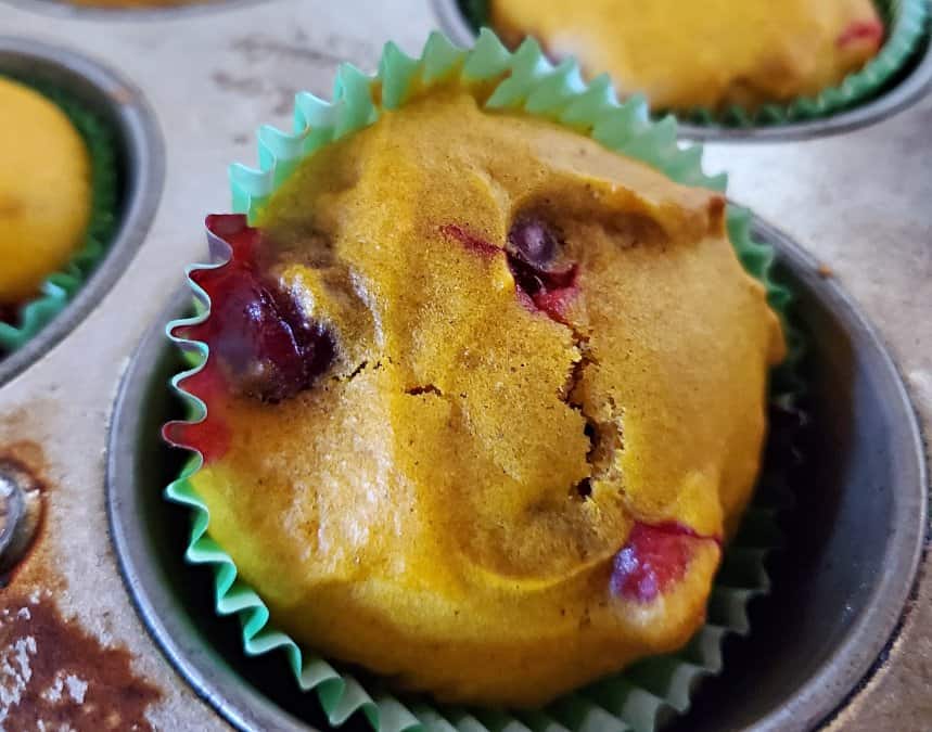 Carrot Cranberry muffin in a tin sideways