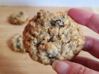 Holding a spiced oatmeal cranberry cookie close up