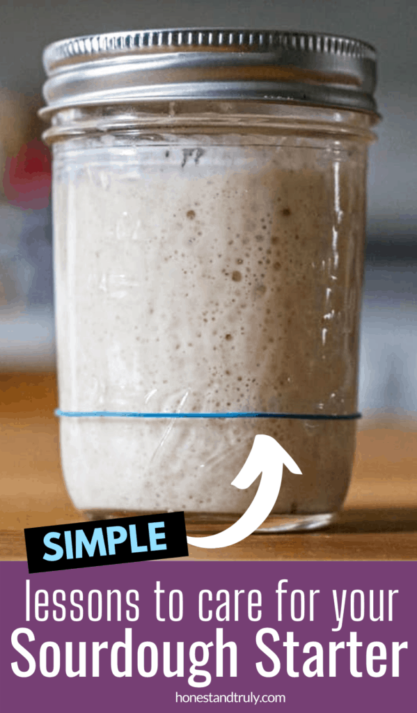 How to Care for Sourdough Starter: The Complete Guide