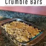 Blueberry Crumble bars in a pan on a countertop.
