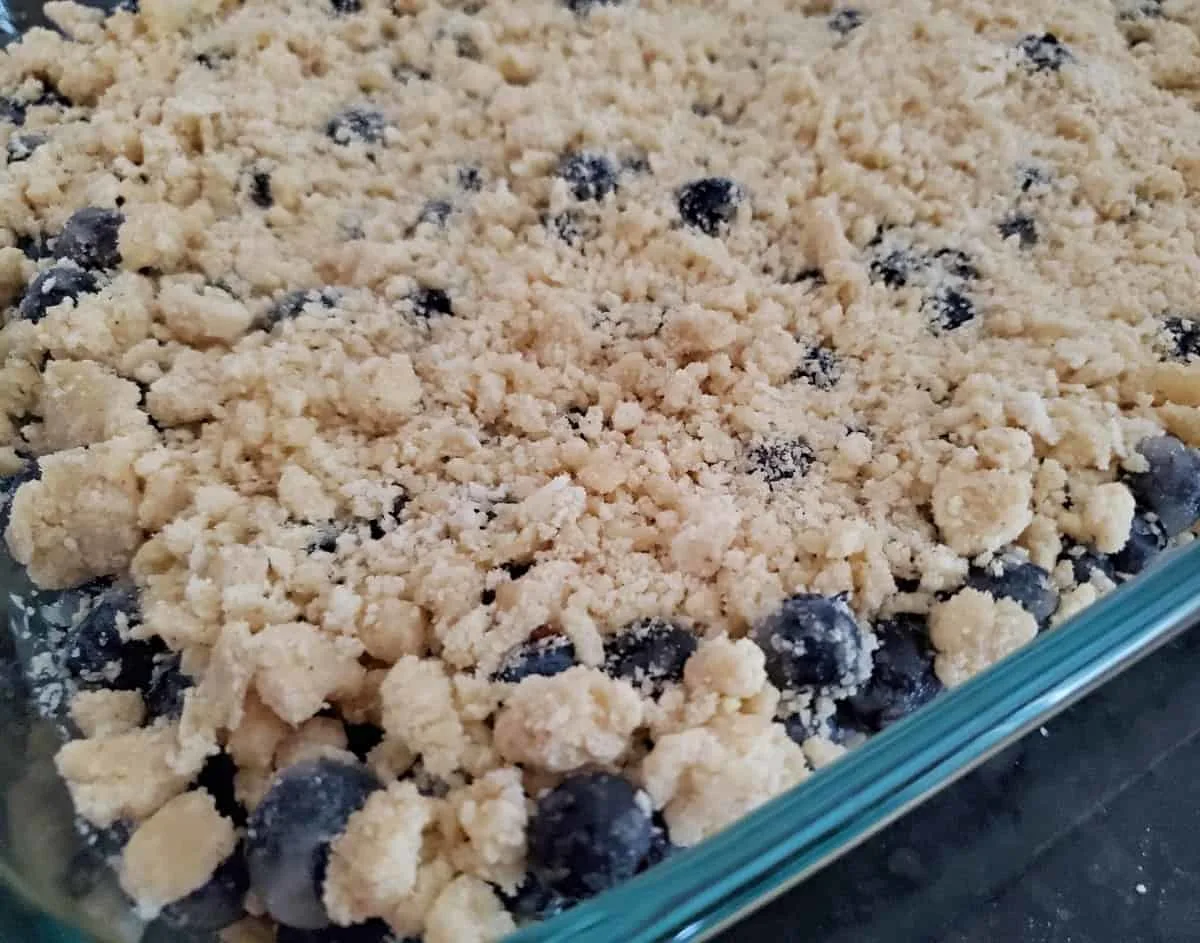 Closeup of unbaked blueberry crumble pan.