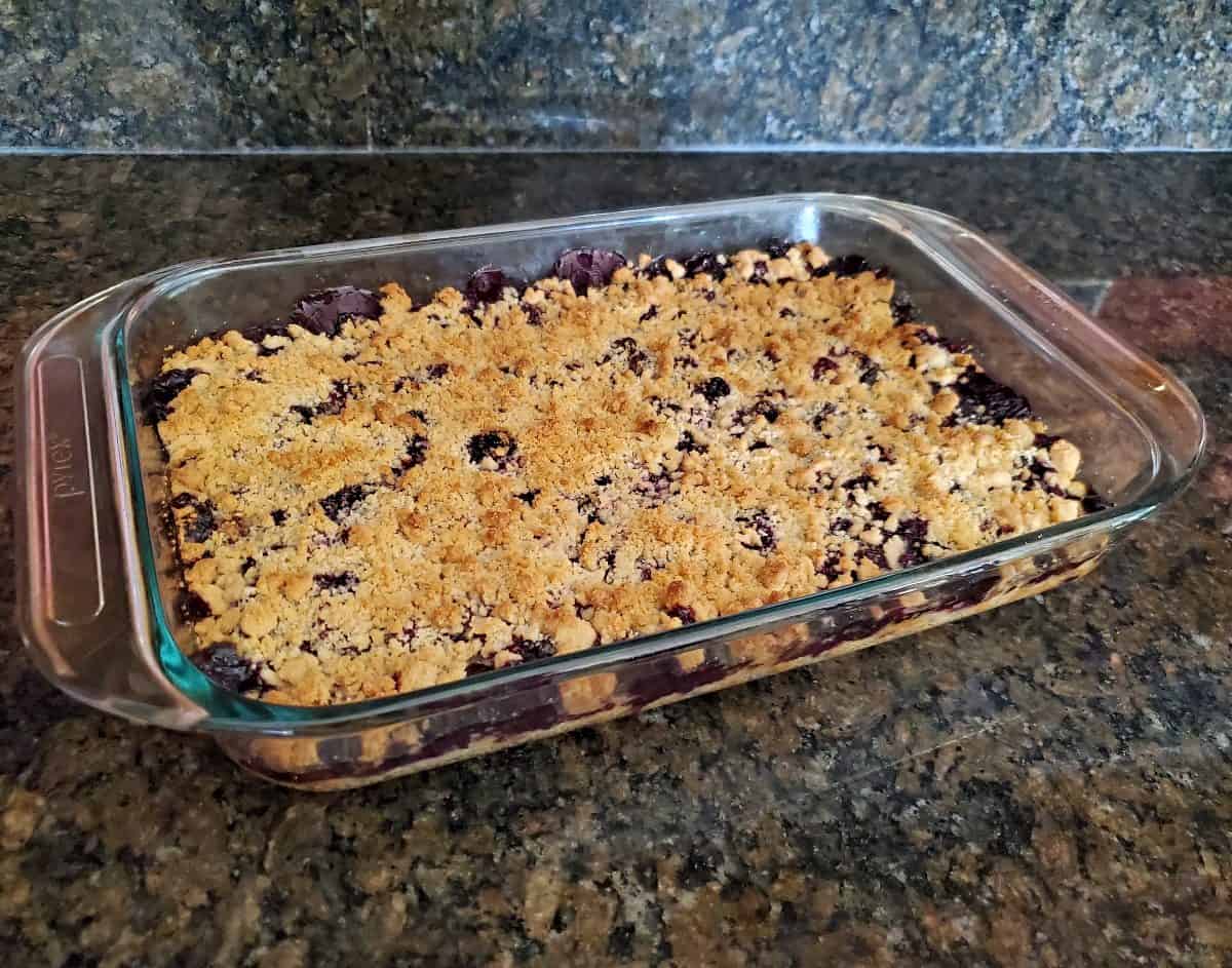 Just baked pan of blueberry crumb bars.