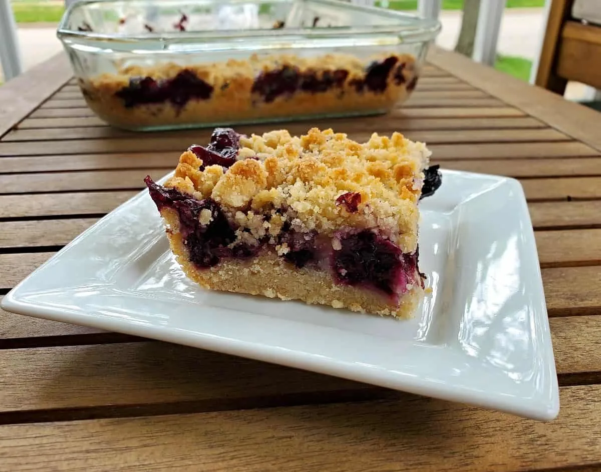 Square of blueberry crumb bar sitting on a table.