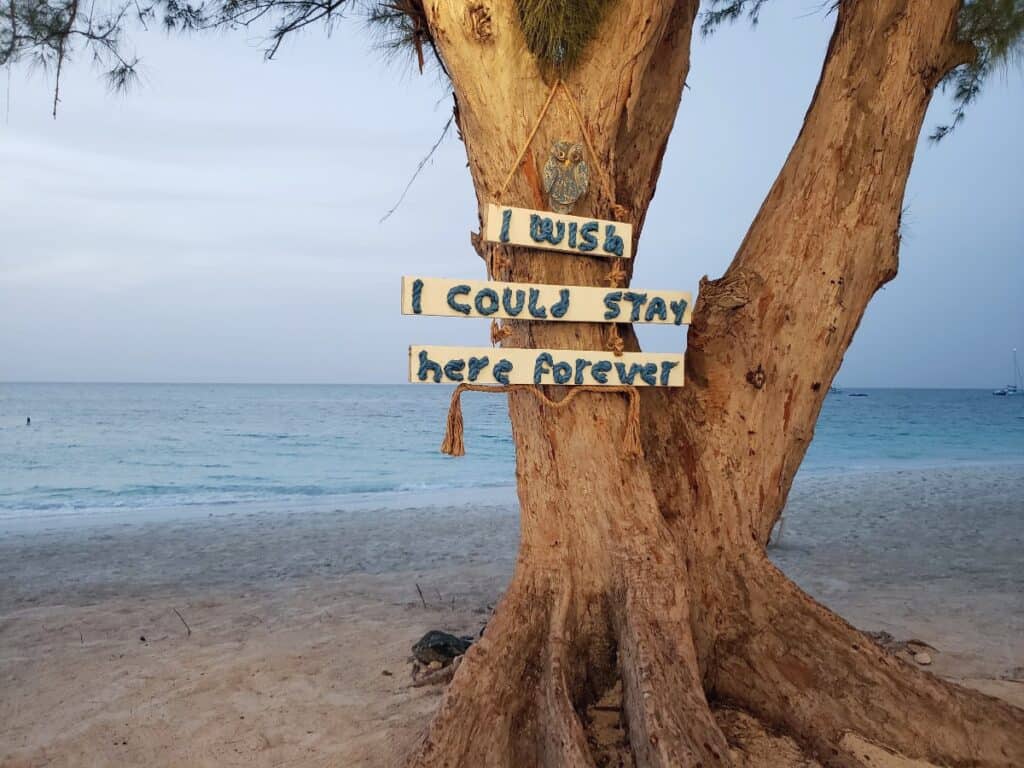 Sign on a tree at the beach.