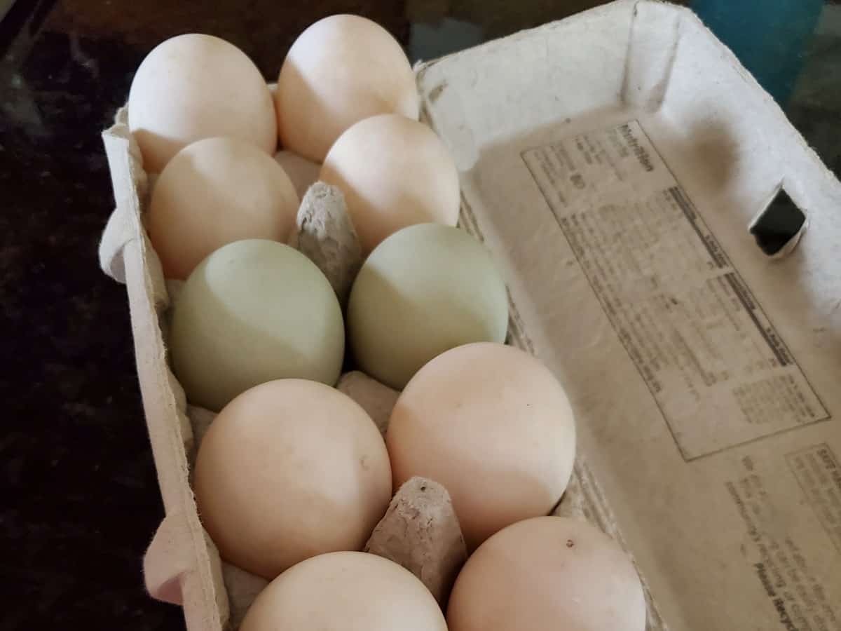 Why are eggs so expensive and what can you use instead