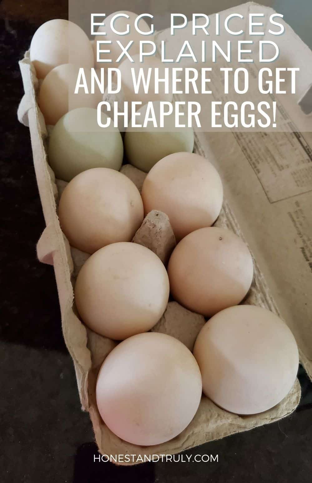 https://honestandtruly.com/wp-content/uploads/2023/01/Overhead-of-a-carton-of-backyard-eggs-with-text.jpg