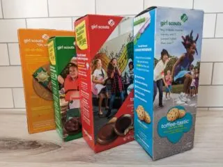 Four different Girl Scout Cookie flavor boxes standing on a wood background.