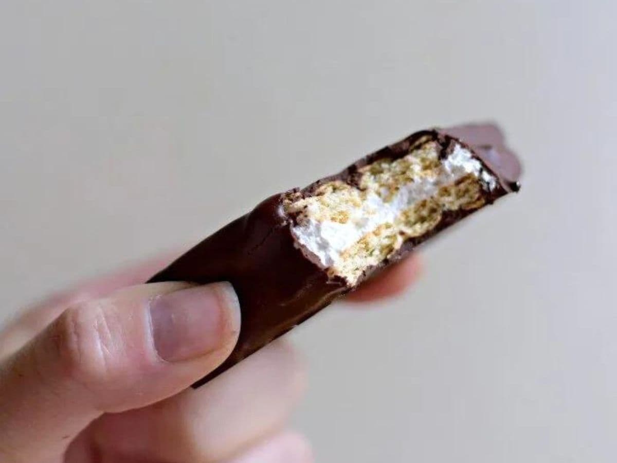 Image shows a hand holding a copycat Girl Scout s'mores cookie with a bite taken from it.