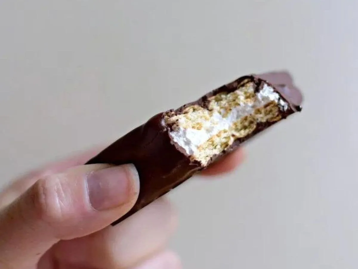 Image shows a hand holding a copycat Girl Scout s'mores cookie with a bite taken from it.