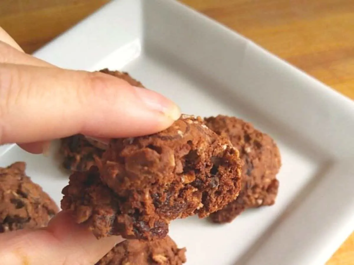 A person holding a chocolatey raisin cookie over a plate.