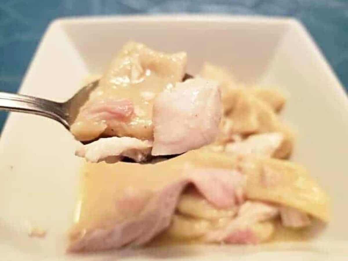 Image shows Chicken and dumplings on a spoon with more in the backgroumd.