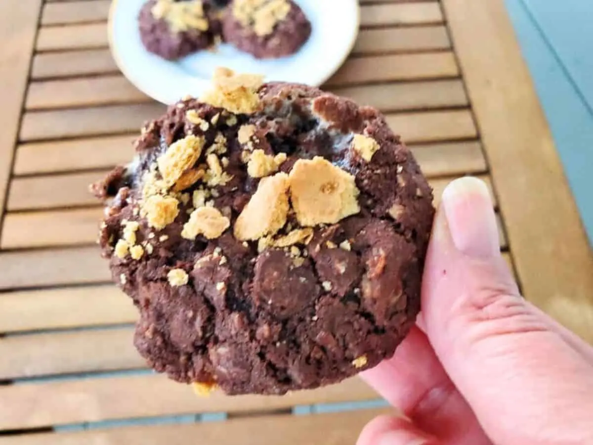 Image shows a closeup of a chewy s'mores cookie held over a wooden table.