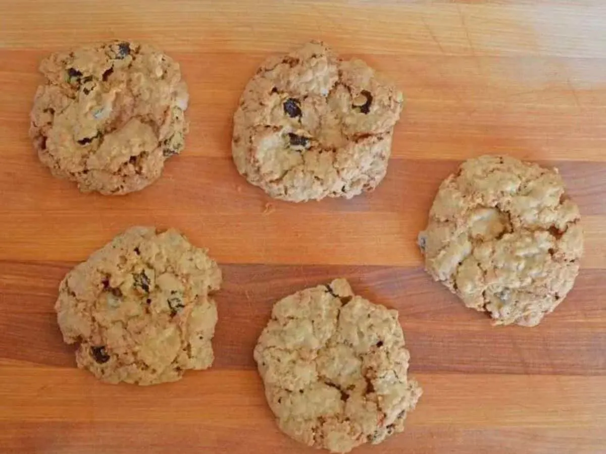 Image shows a person holding up a classic oatmeal raisin cookie in front of a white wall.