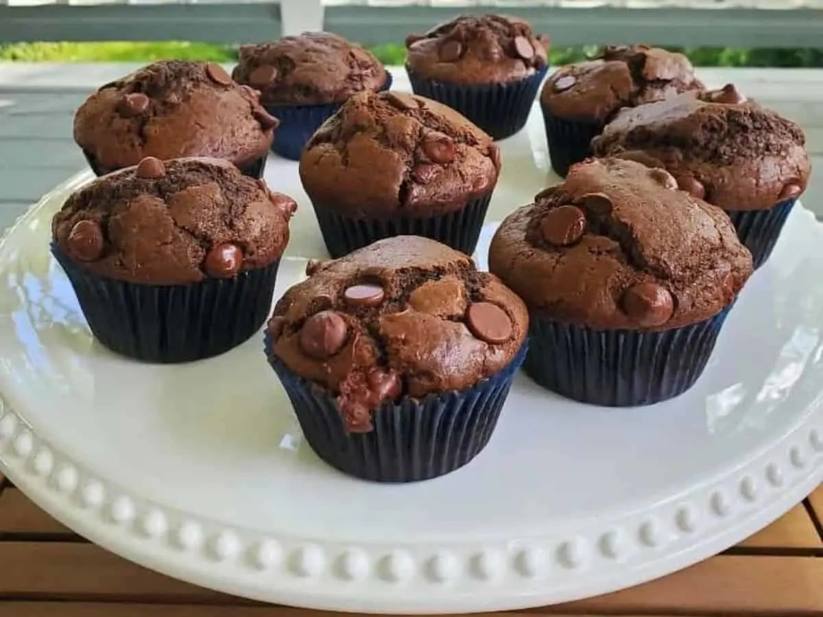 Hand holding a double chocolate muffin.