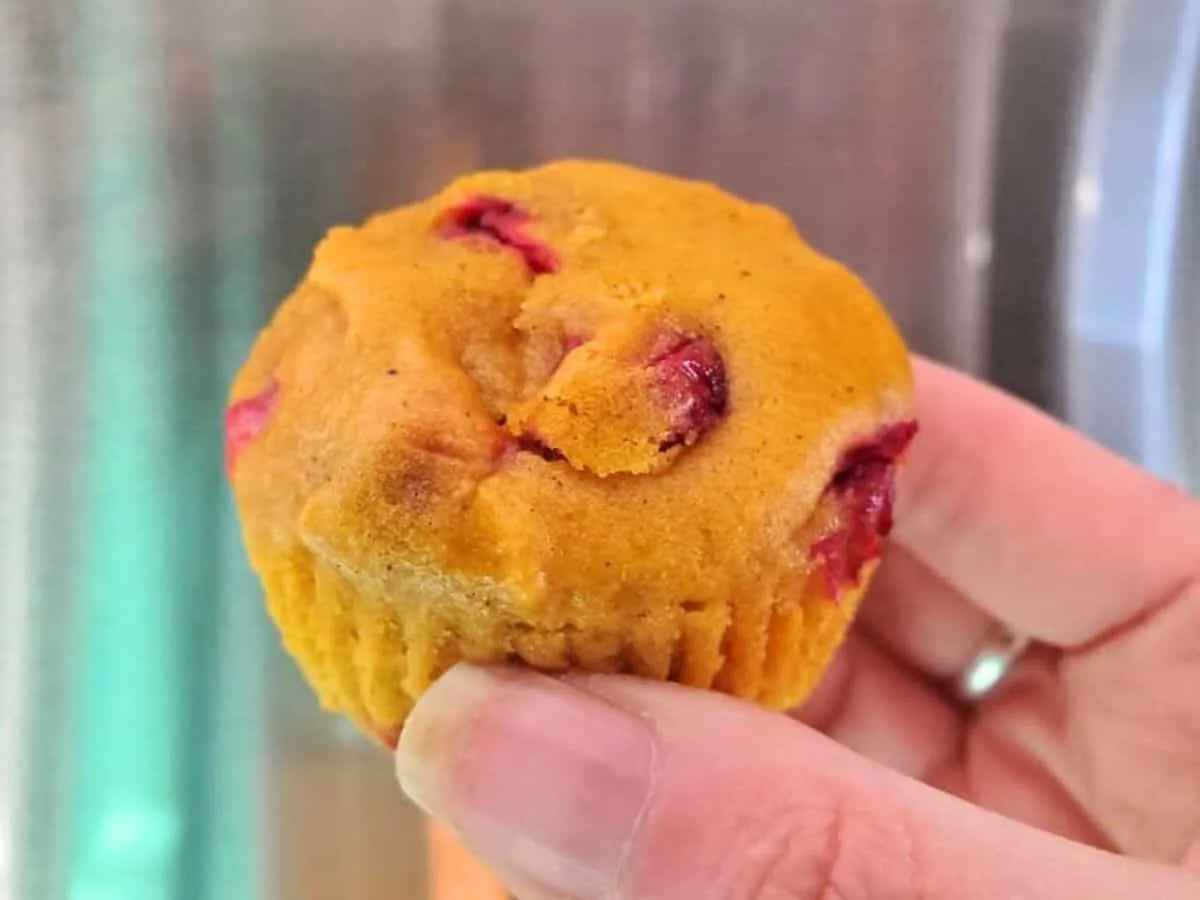 Carrot cranberry muffin held in a hand.