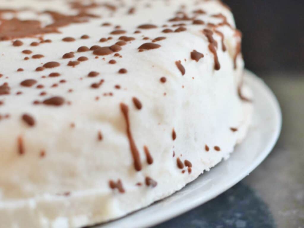 Image shows vegan dairy free homemade ice cream cake.