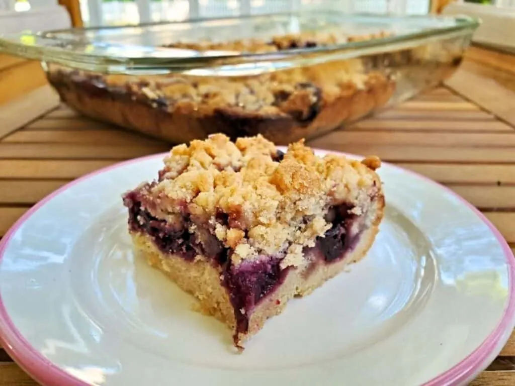 Image shows delicious cherry crumb bar.