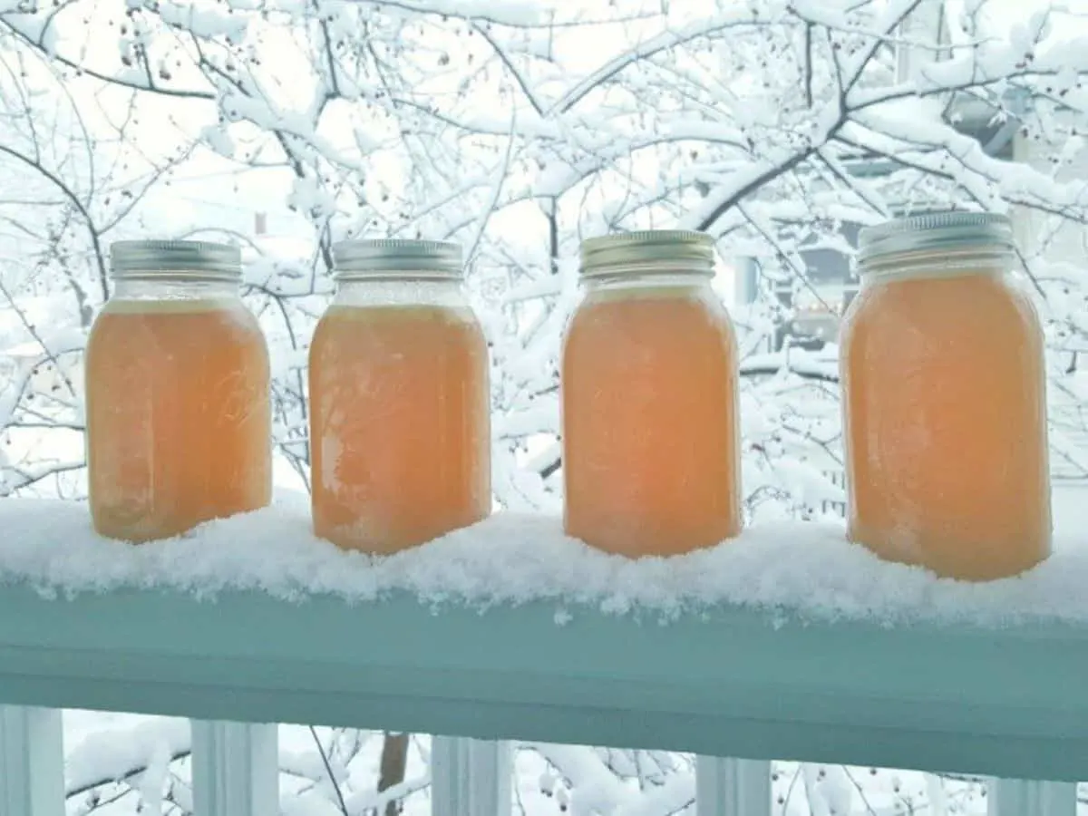 Instant Pot 101 19 Easy and Delicious Recipes for Beginners