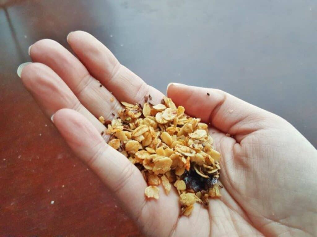 Image shows handful of delicious homemade granola.