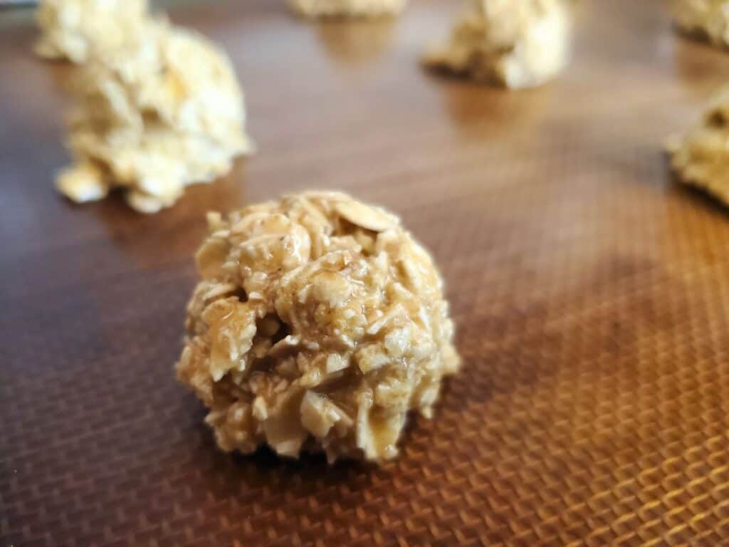 Image shows close up of Rudolph's oat treat cookies on a silpat.