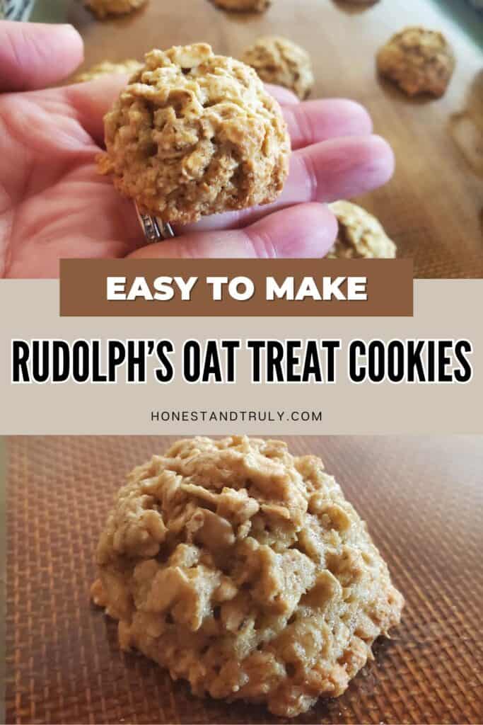 Image shows easy to make Rudolph's oat treat cookies.