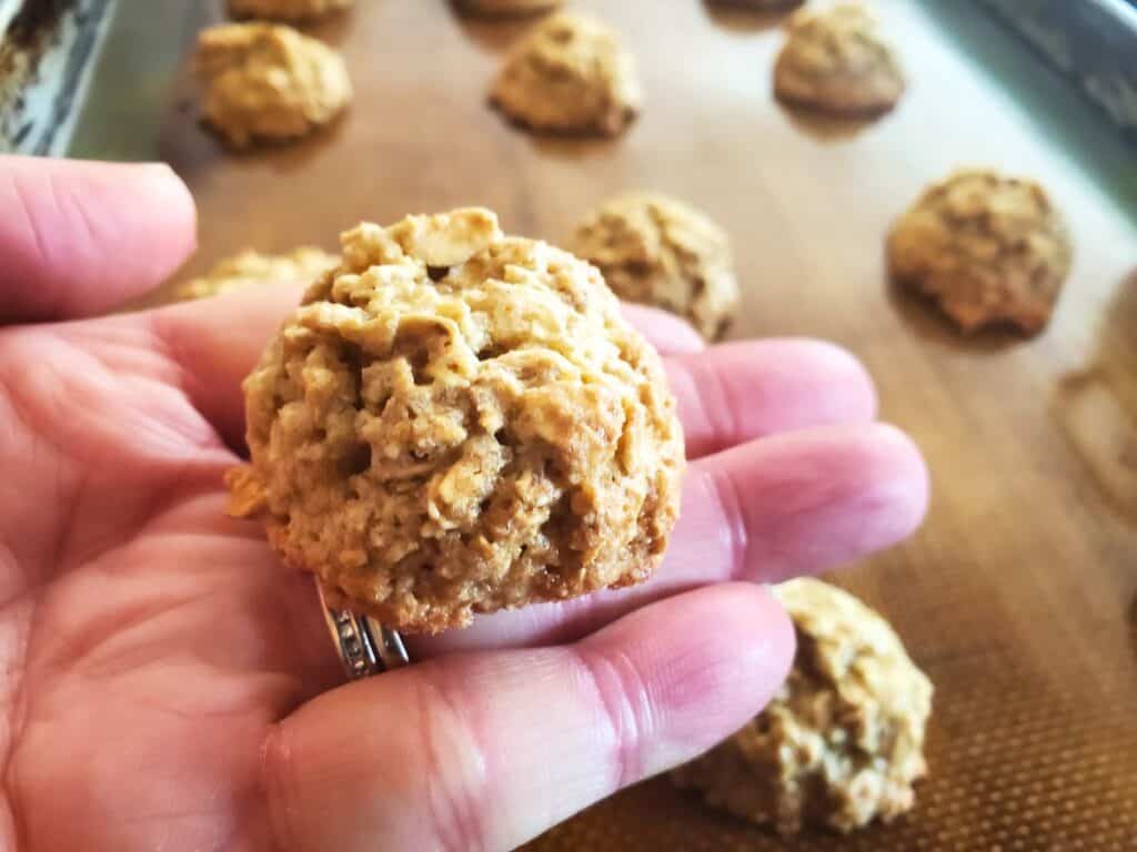 Image shows yummy Rudolph's oat treat cookies.